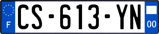 CS-613-YN