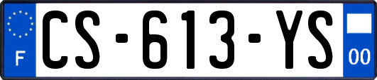 CS-613-YS