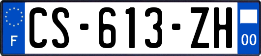 CS-613-ZH