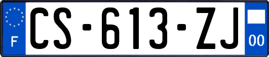 CS-613-ZJ