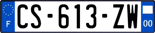 CS-613-ZW