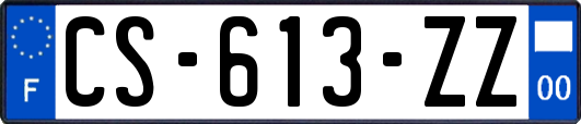 CS-613-ZZ