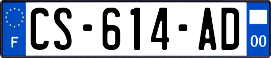 CS-614-AD