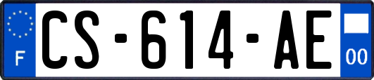 CS-614-AE