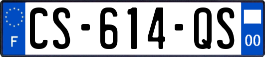 CS-614-QS
