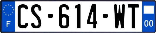 CS-614-WT