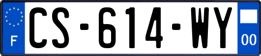 CS-614-WY