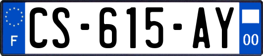 CS-615-AY