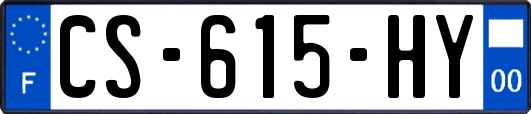 CS-615-HY