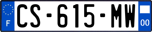 CS-615-MW