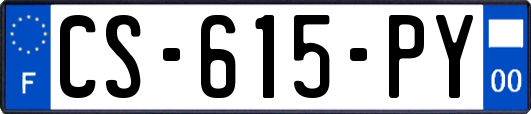 CS-615-PY