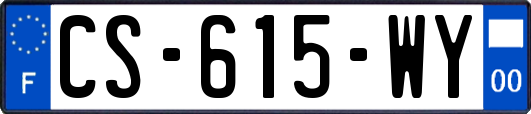 CS-615-WY