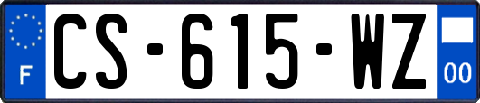 CS-615-WZ