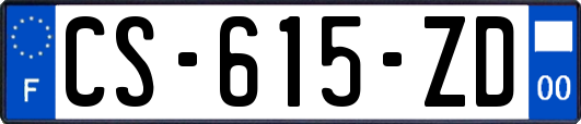 CS-615-ZD