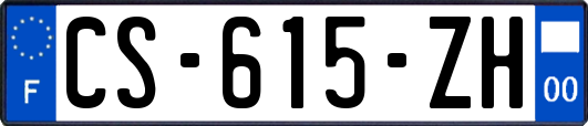 CS-615-ZH