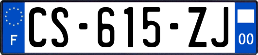 CS-615-ZJ