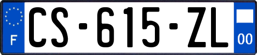 CS-615-ZL