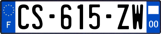 CS-615-ZW