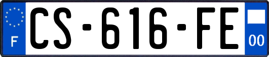 CS-616-FE