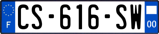 CS-616-SW