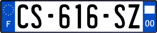 CS-616-SZ