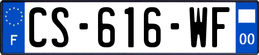 CS-616-WF