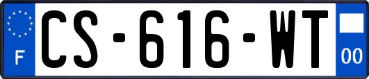 CS-616-WT