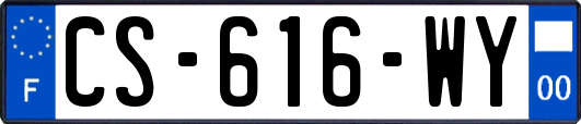 CS-616-WY