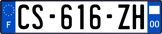 CS-616-ZH