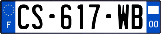 CS-617-WB