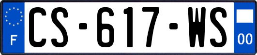 CS-617-WS