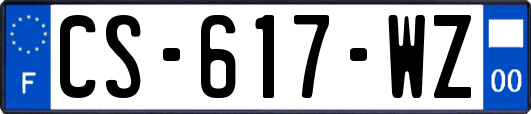 CS-617-WZ
