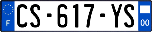 CS-617-YS
