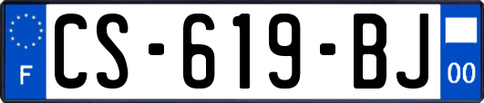 CS-619-BJ