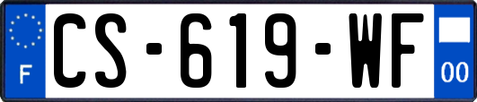 CS-619-WF