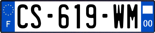 CS-619-WM