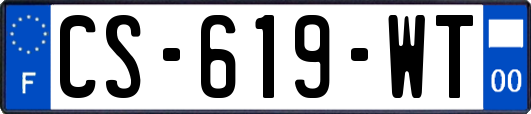 CS-619-WT