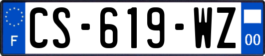 CS-619-WZ