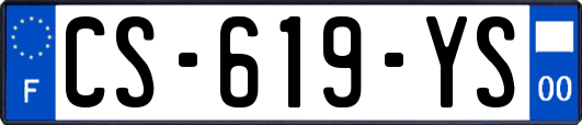 CS-619-YS