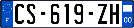 CS-619-ZH