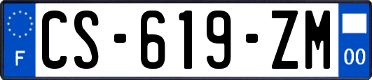 CS-619-ZM