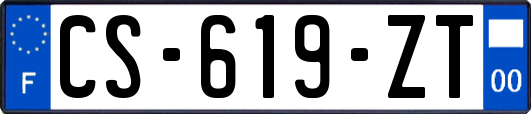 CS-619-ZT