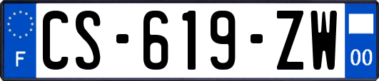 CS-619-ZW