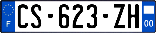 CS-623-ZH