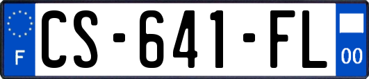 CS-641-FL