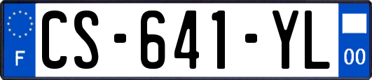 CS-641-YL