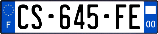 CS-645-FE