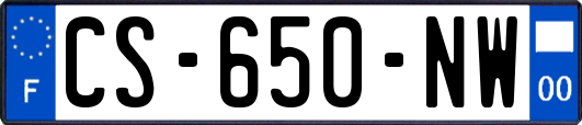 CS-650-NW