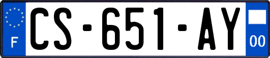 CS-651-AY