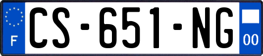 CS-651-NG